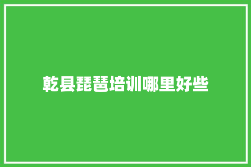 乾县琵琶培训哪里好些