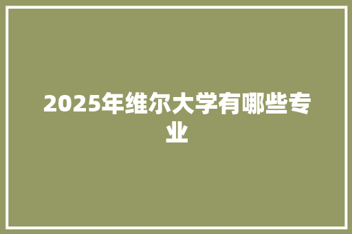2025年维尔大学有哪些专业