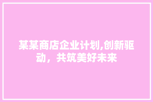 某某商店企业计划,创新驱动，共筑美好未来