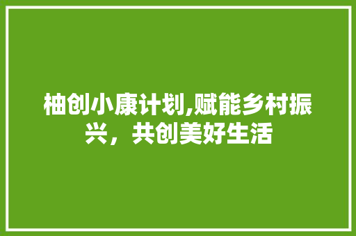 柚创小康计划,赋能乡村振兴，共创美好生活