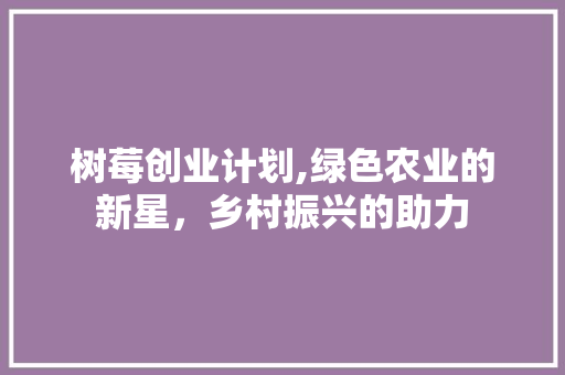 树莓创业计划,绿色农业的新星，乡村振兴的助力