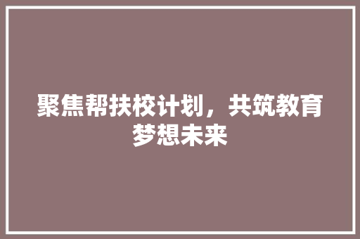 聚焦帮扶校计划，共筑教育梦想未来