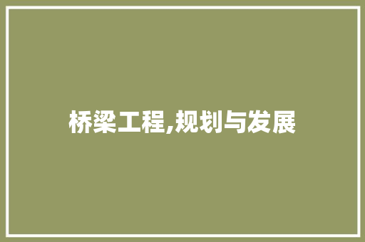 桥梁工程,规划与发展