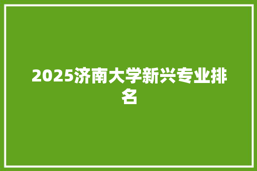 2025济南大学新兴专业排名