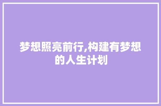 梦想照亮前行,构建有梦想的人生计划