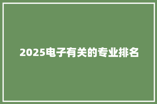 2025电子有关的专业排名
