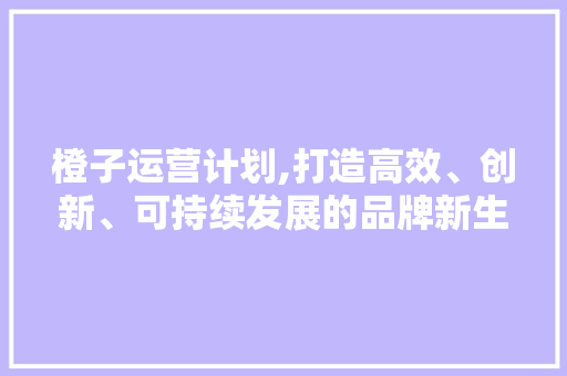 橙子运营计划,打造高效、创新、可持续发展的品牌新生态