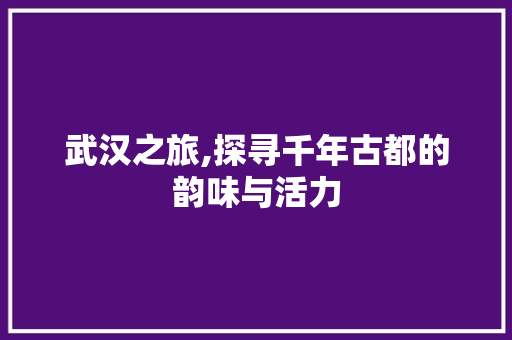 武汉之旅,探寻千年古都的韵味与活力