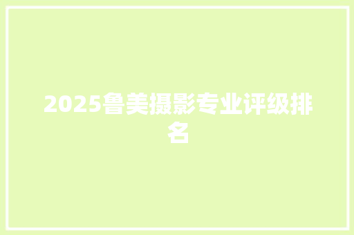 2025鲁美摄影专业评级排名