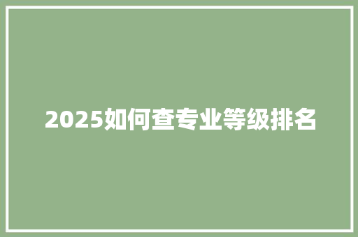 2025如何查专业等级排名