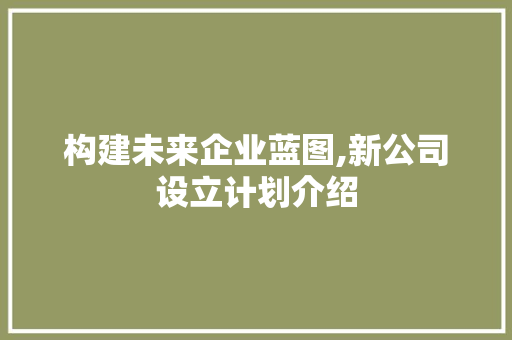 构建未来企业蓝图,新公司设立计划介绍