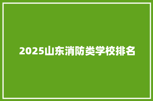 2025山东消防类学校排名