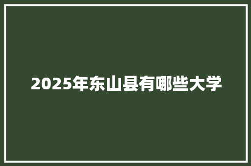 2025年东山县有哪些大学