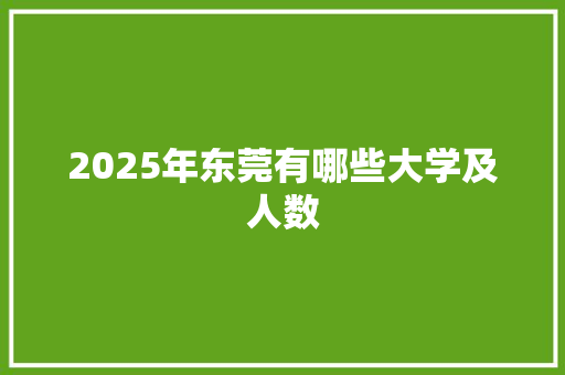 2025年东莞有哪些大学及人数