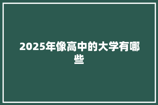 2025年像高中的大学有哪些