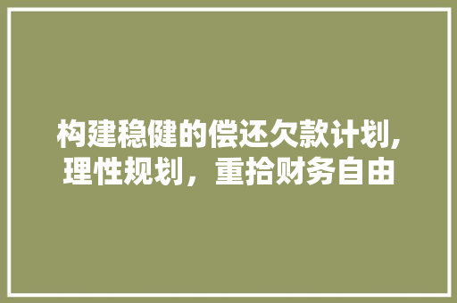 构建稳健的偿还欠款计划,理性规划，重拾财务自由