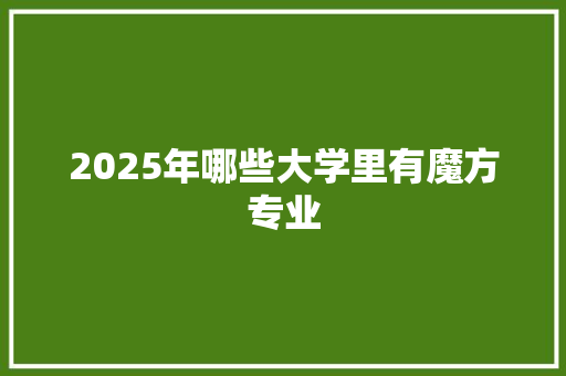 2025年哪些大学里有魔方专业
