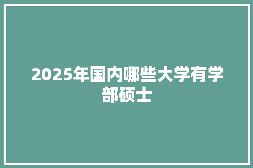 2025年国内哪些大学有学部硕士