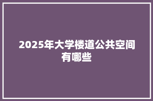 2025年大学楼道公共空间有哪些