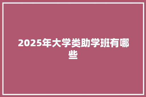 2025年大学类助学班有哪些