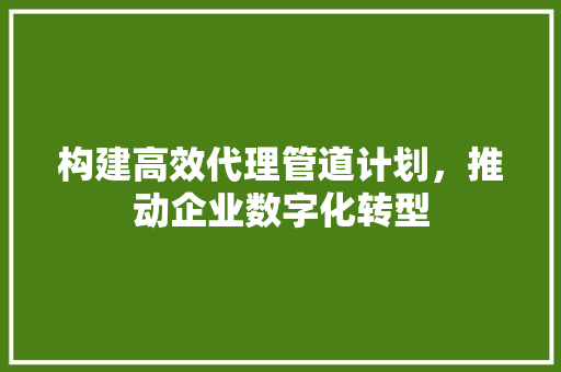 构建高效代理管道计划，推动企业数字化转型