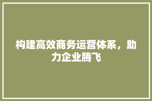 构建高效商务运营体系，助力企业腾飞