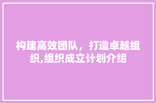构建高效团队，打造卓越组织,组织成立计划介绍