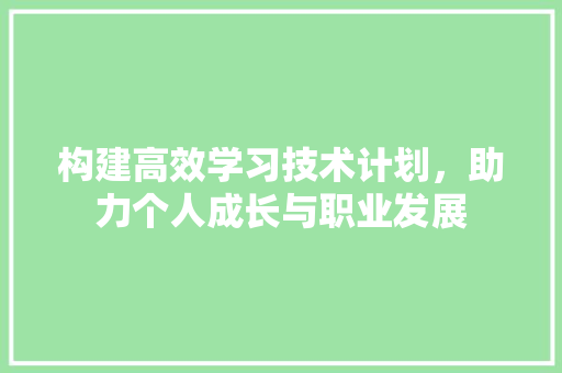 构建高效学习技术计划，助力个人成长与职业发展