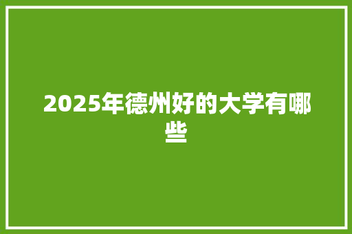 2025年德州好的大学有哪些