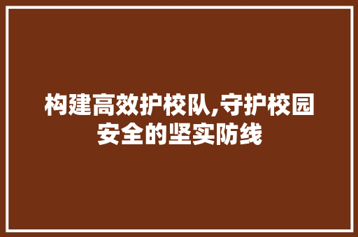 构建高效护校队,守护校园安全的坚实防线