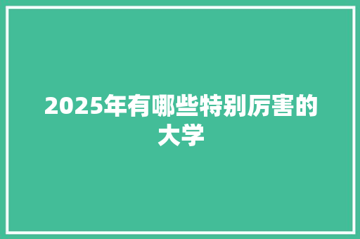 2025年有哪些特别厉害的大学