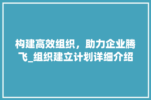 构建高效组织，助力企业腾飞_组织建立计划详细介绍