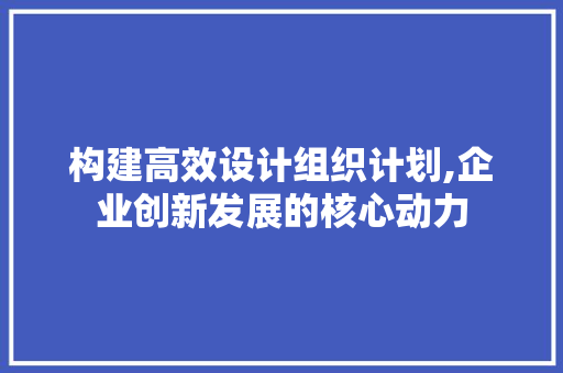 构建高效设计组织计划,企业创新发展的核心动力