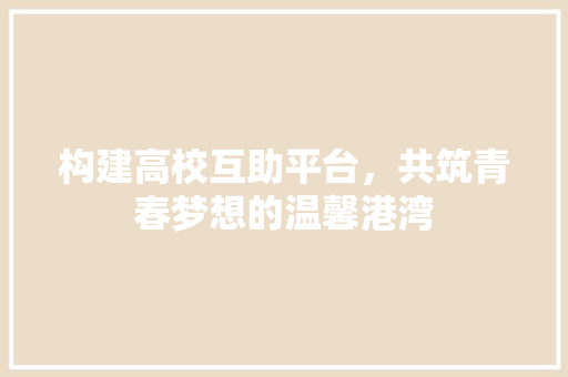构建高校互助平台，共筑青春梦想的温馨港湾