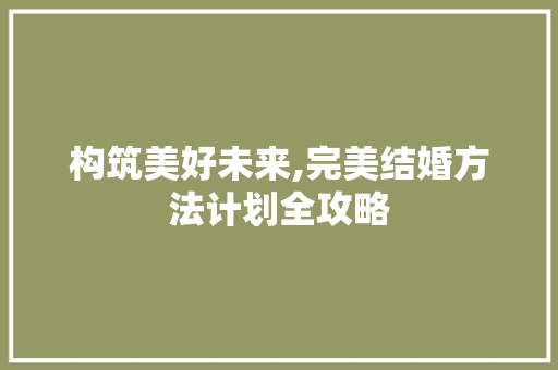 构筑美好未来,完美结婚方法计划全攻略