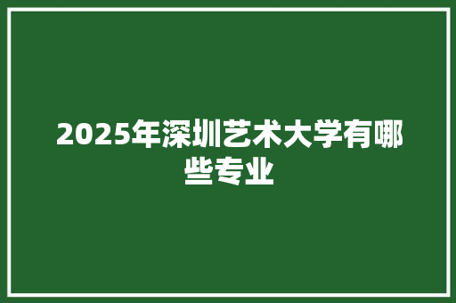 2025年深圳艺术大学有哪些专业