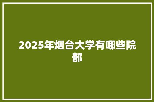 2025年烟台大学有哪些院部
