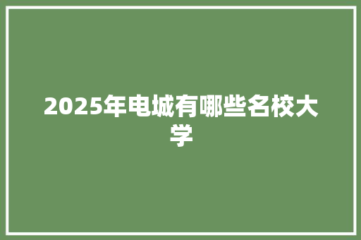 2025年电城有哪些名校大学