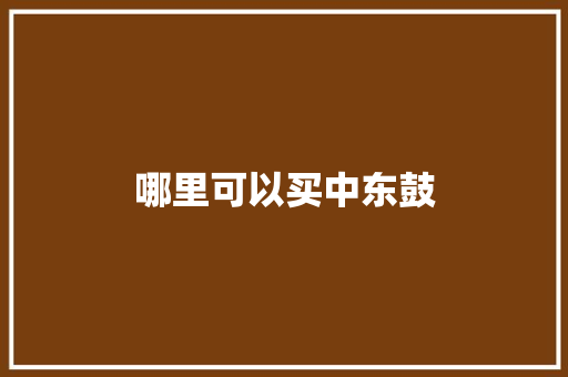 哪里可以买中东鼓