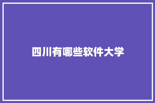 四川有哪些软件大学