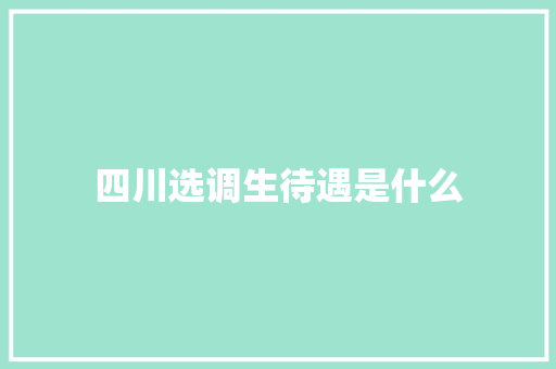 四川选调生待遇是什么