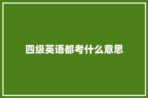 四级英语都考什么意思 近义词汇