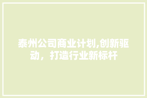 泰州公司商业计划,创新驱动，打造行业新标杆
