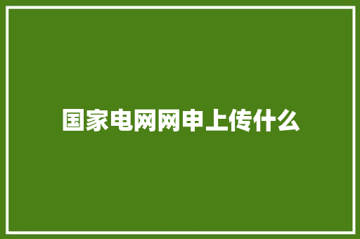国家电网网申上传什么