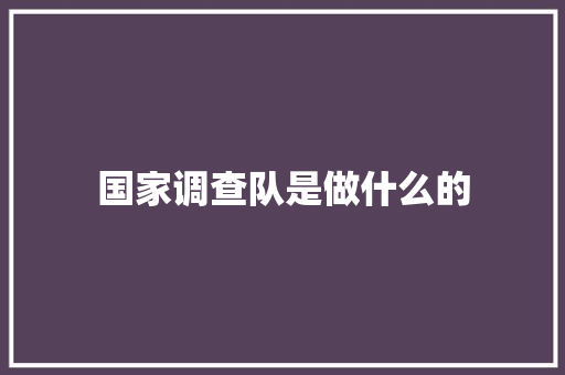 国家调查队是做什么的