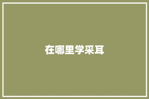 在哪里学采耳