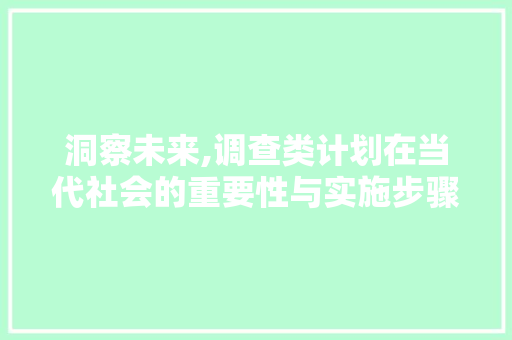洞察未来,调查类计划在当代社会的重要性与实施步骤