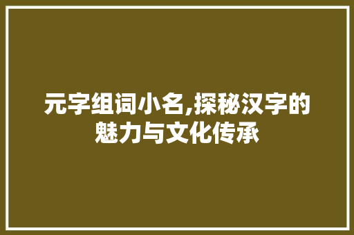 元字组词小名,探秘汉字的魅力与文化传承