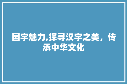 国字魅力,探寻汉字之美，传承中华文化