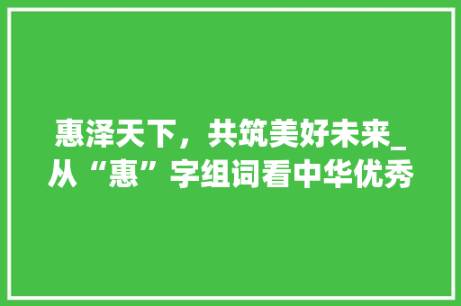 惠泽天下，共筑美好未来_从“惠”字组词看中华优秀传统文化